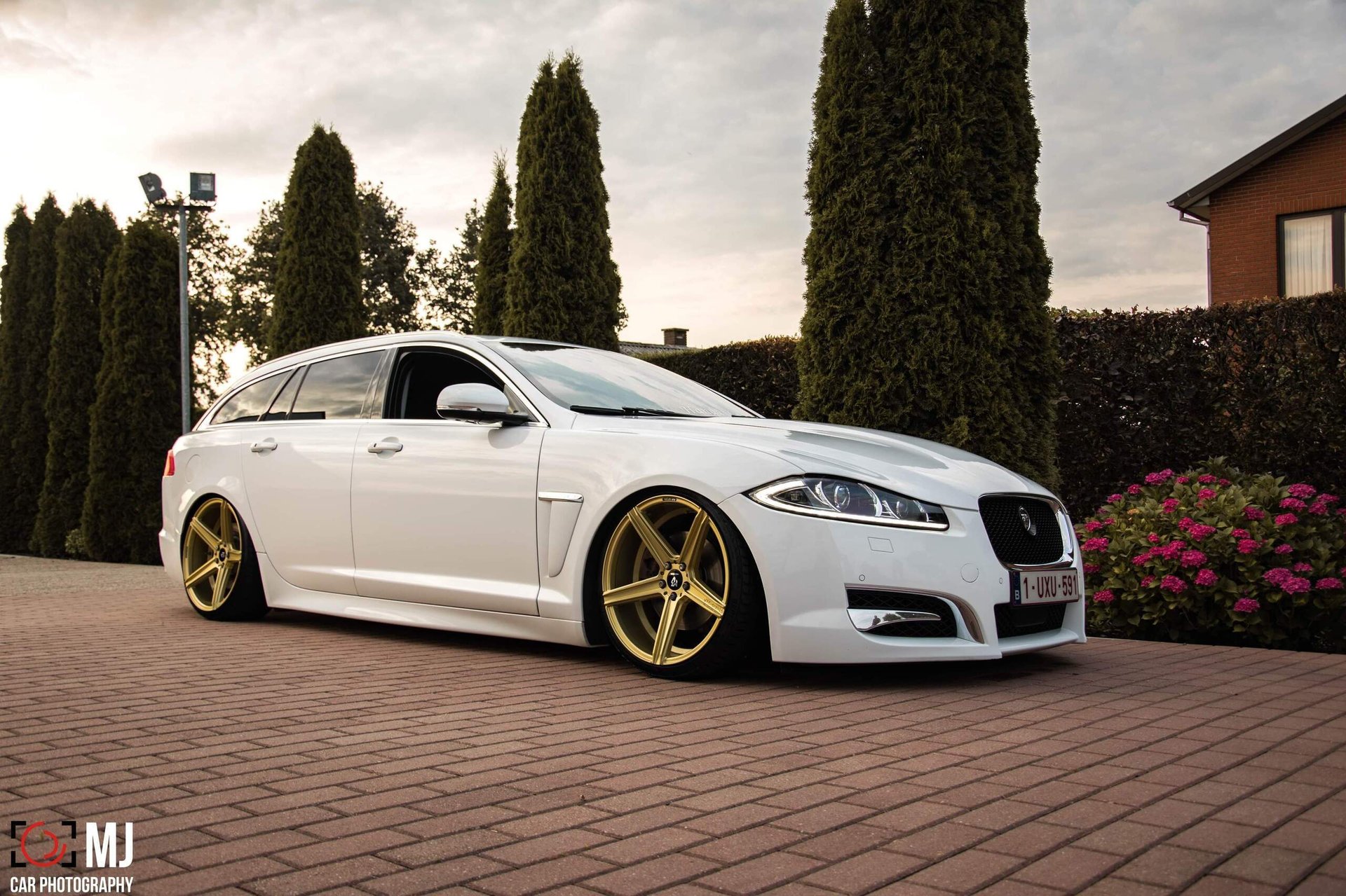 JAGUAR XF CC9 - KV1 gold glänzend
