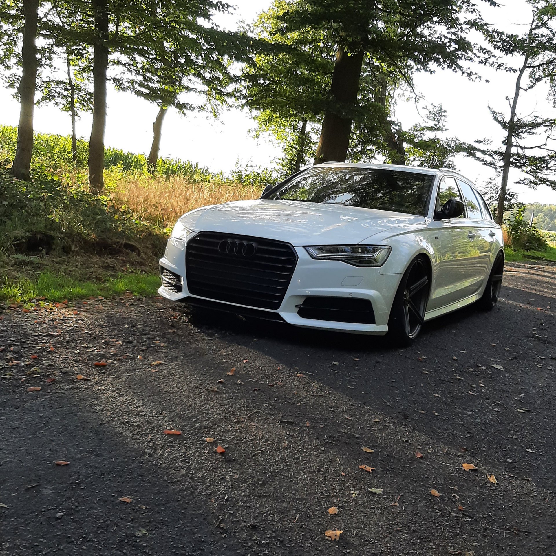 AUDI A6 4G KV1 grau matt