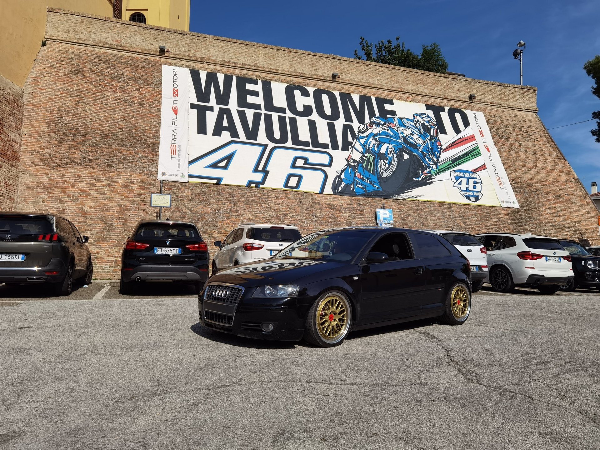AUDI A3 8P - LV1 gold shiny polished