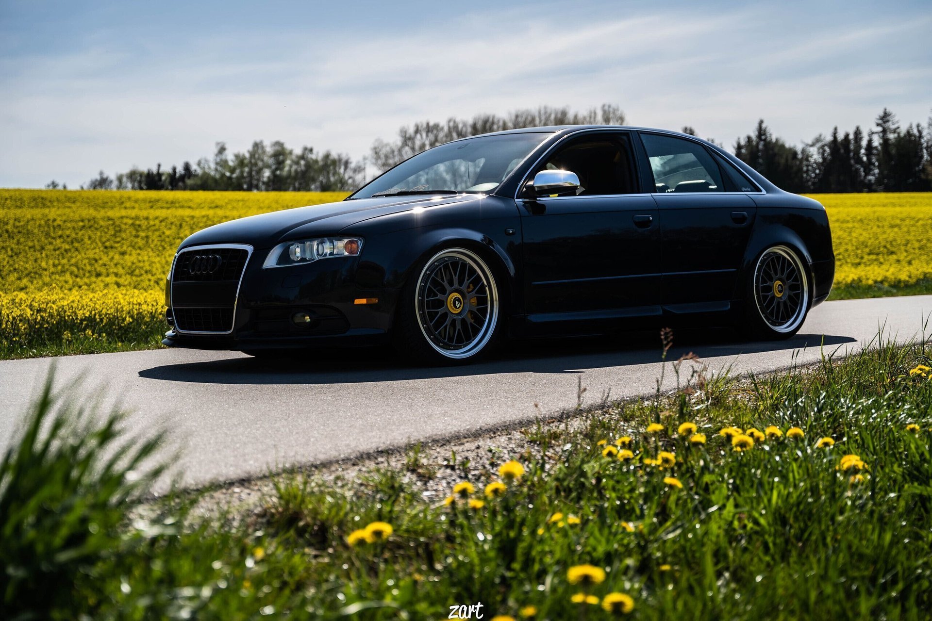 AUDI S4 8E