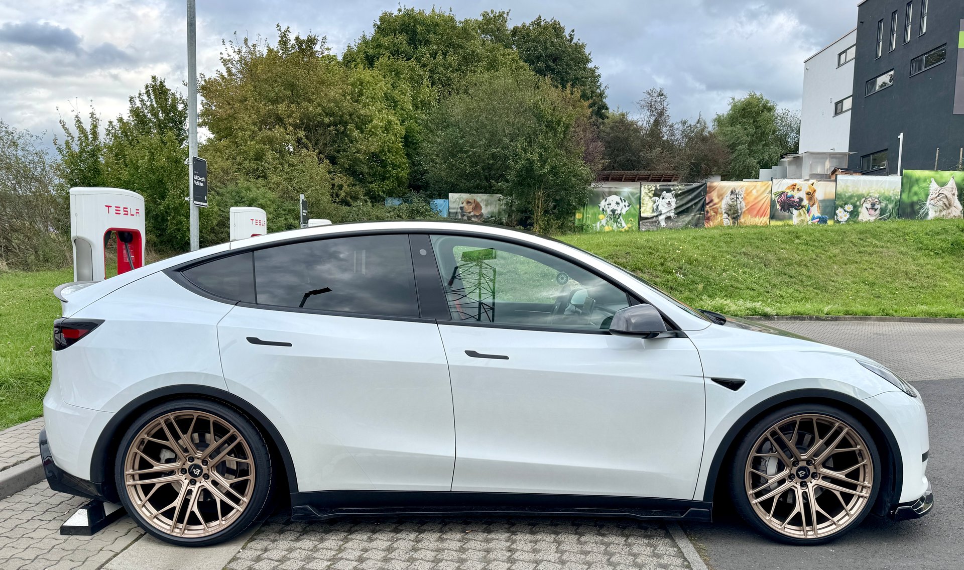 TESLA Model Y | mbDESIGN SF1