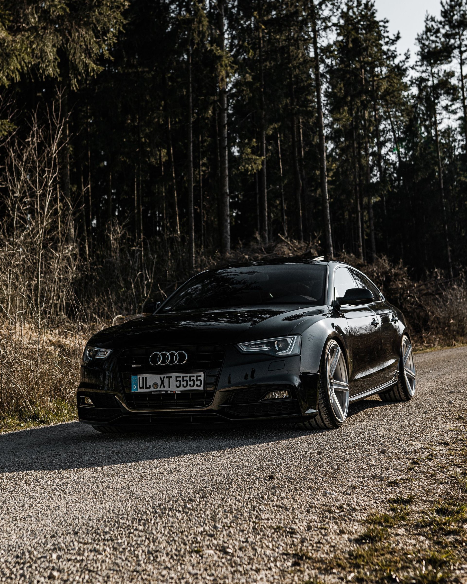 AUDI A5 Cabrio B8 KV1 silber glänzend
