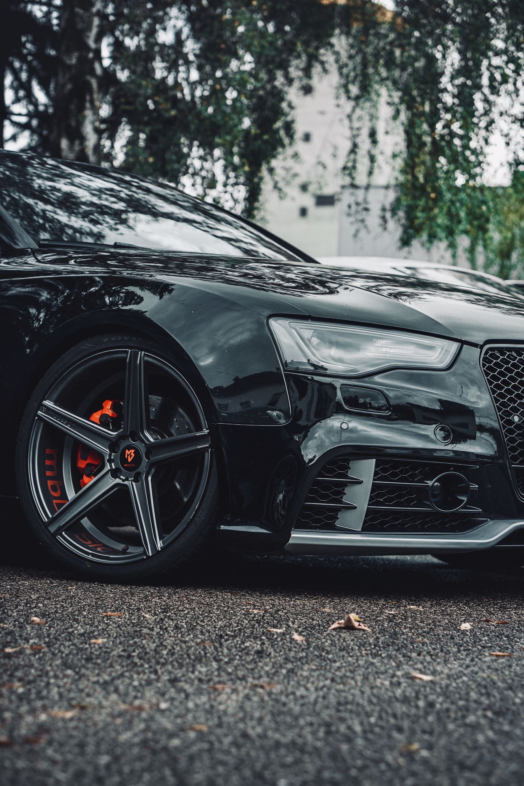 AUDI S5 Cabrio B8 - KV1 grau matt