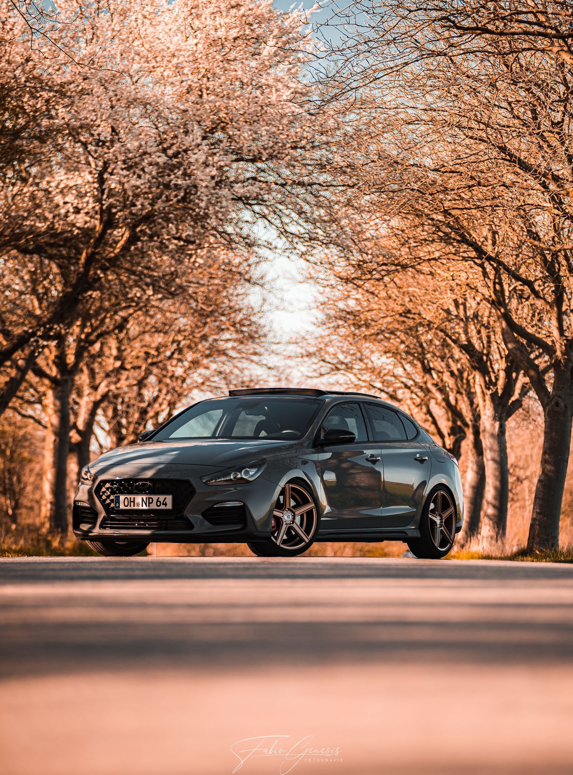 HYUNDAI i30 Fastback N PDE - KV1 bronze light matt