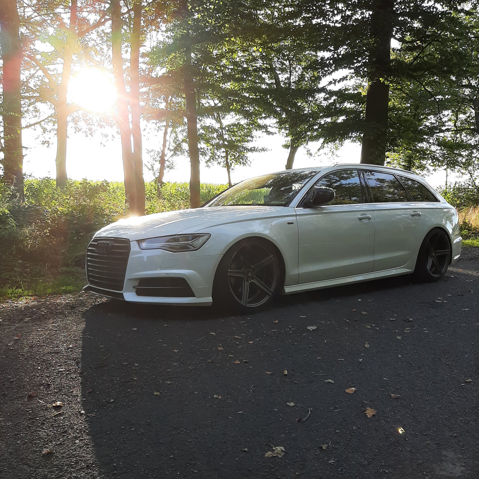 AUDI A6 4G - KV1 grau matt