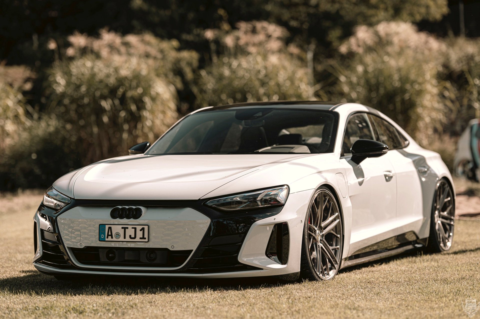 AUDI e-tron GT FW - SF1 unlackiert