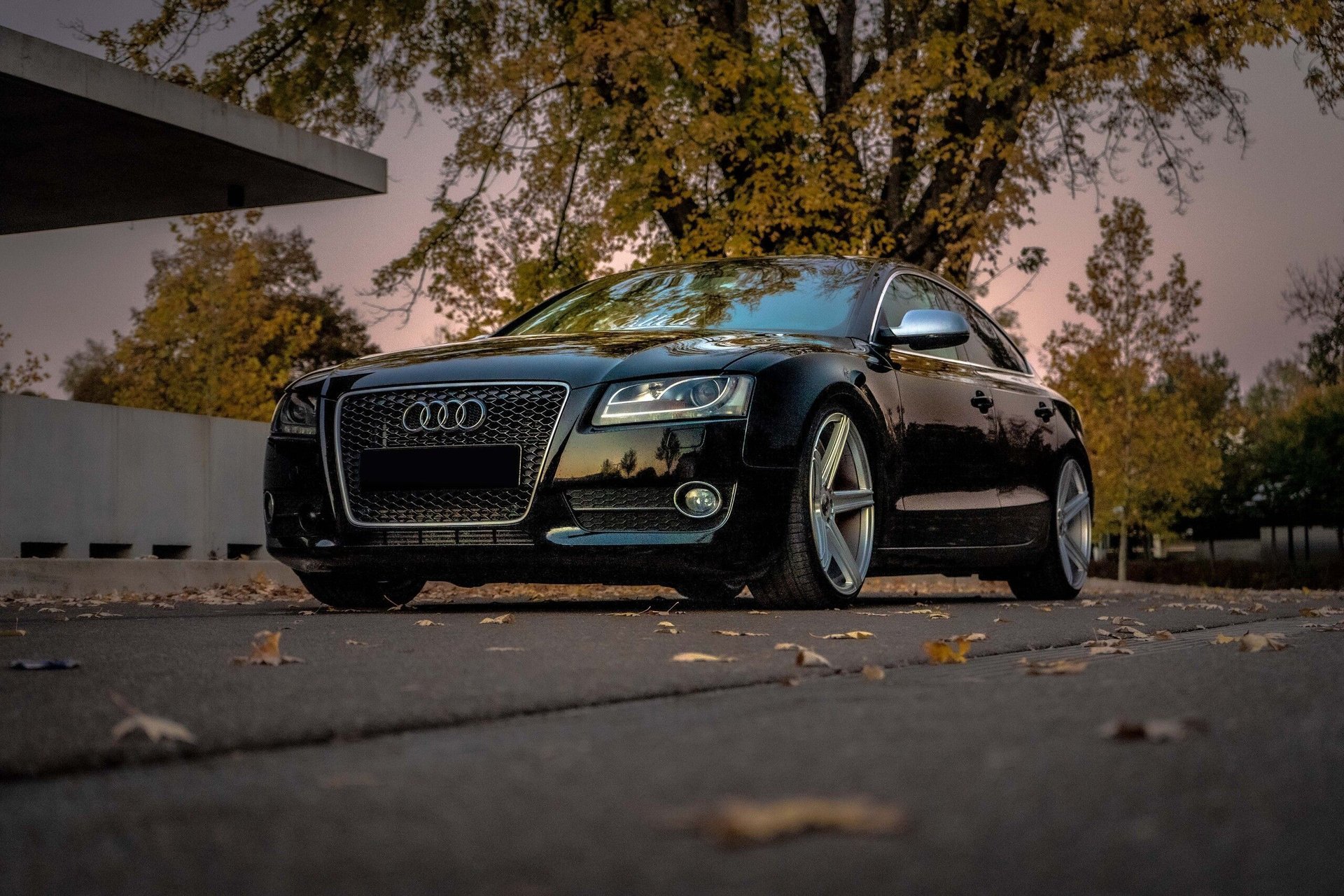 AUDI A5 Cabrio B8 - KV1 silber glänzend