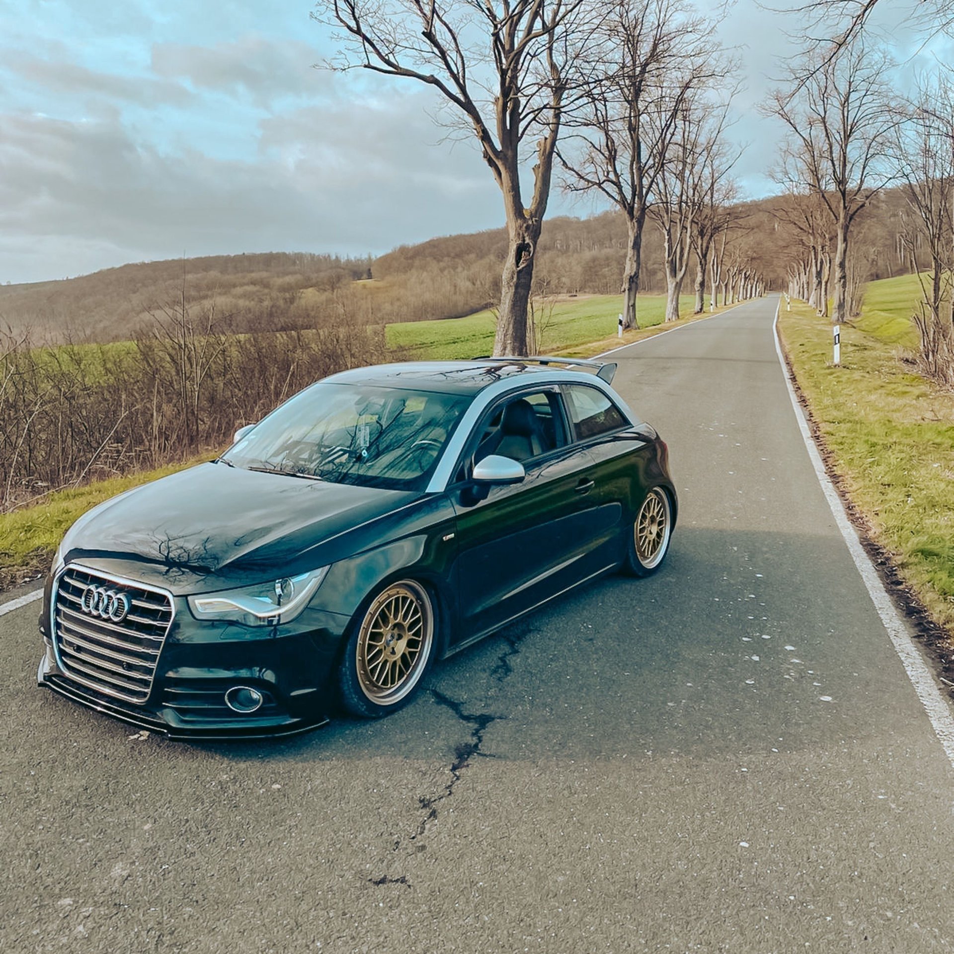 AUDI A1 8X - LV1 gold shiny polished